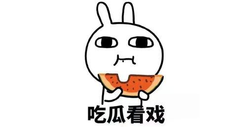 娱乐吃瓜君吃官司,揭秘网络红人背后的法律风波